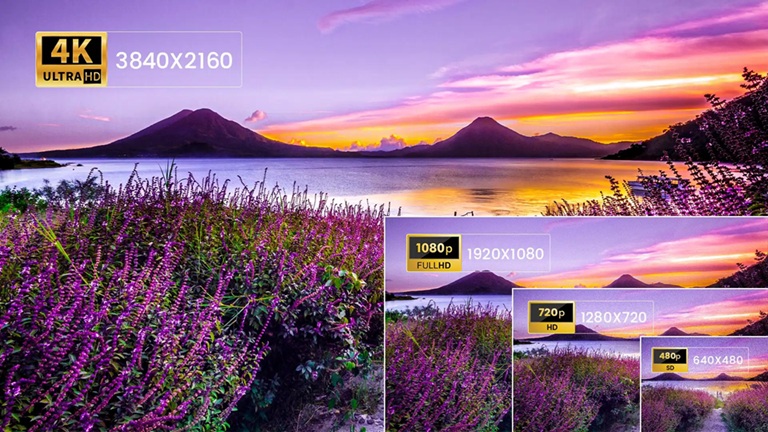 Telycam Vision+ 4KZ Camera