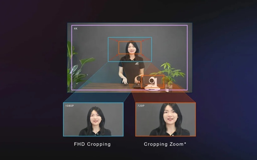 Telycam Vision+ 4KZ Camera