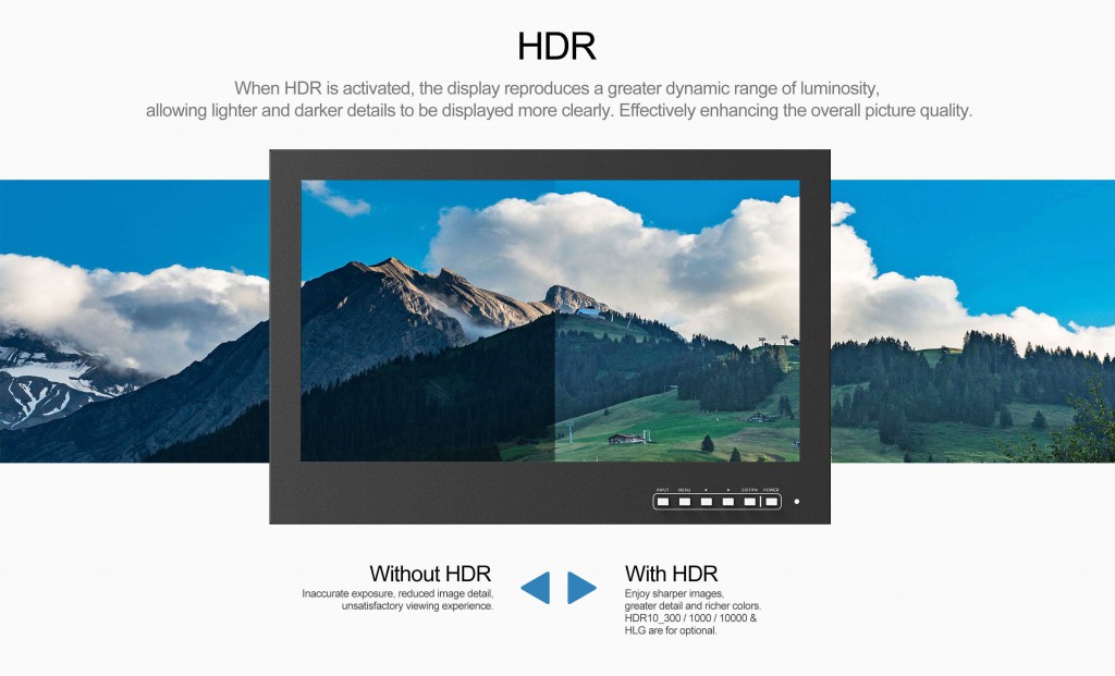 Security Monitors and Displays